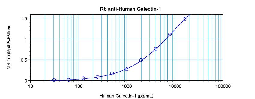 Sandwich ELISA of Galectin 1 antibody LS-B7436