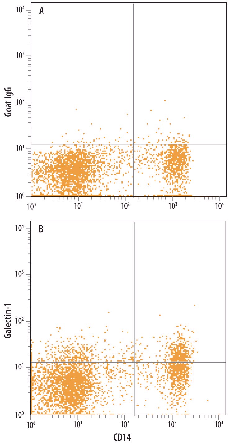 Detection of Galectin-1 in Human Blood Monocytes by Flow Cytometry. Human peripheral blood monocytes were stained with Mouse Anti-Human CD14 PE-conjugated Monoclonal Antibody and either (A) Normal Goat IgG Control or (B) Goat Anti-Human Galectin-1 Antigen Affinity-purified Polyclonal Antibody followed by Allophycocyanin-conjugated Anti-Goat IgG Secondary Antibody. To facilitate intracellular staining, cells were fixed with paraformaldehyde and permeabilized with saponin.