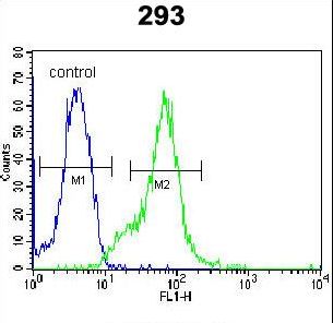 LGALS9B Antibody flow cytometry of 293 cells (right histogram) compared to a negative control cell (left histogram). FITC-conjugated goat-anti-rabbit secondary antibodies were used for the analysis.