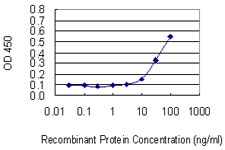 Detection limit for recombinant GST tagged EIF2D is 3 ng/ml as a capture antibody.
