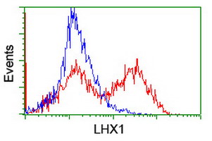 HEK293T cells transfected with either overexpress plasmid (Red) or empty vector control plasmid (Blue) were immunostained by anti-LHX1 antibody, and then analyzed by flow cytometry.