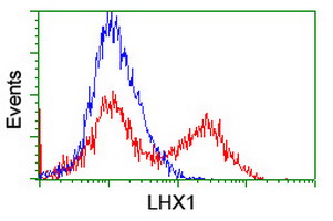 HEK293T cells transfected with either overexpress plasmid (Red) or empty vector control plasmid (Blue) were immunostained by anti-LHX1 antibody, and then analyzed by flow cytometry.