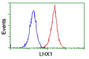 Flow cytometry of Jurkat cells, using anti-LHX1 antibody (Red), compared to a nonspecific negative control antibody (Blue).