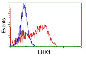 HEK293T cells transfected with either overexpress plasmid (Red) or empty vector control plasmid (Blue) were immunostained by anti-LHX1 antibody, and then analyzed by flow cytometry.