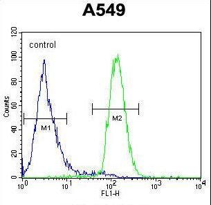 LILRA2 Antibody flow cytometry of A549 cells (right histogram) compared to a negative control cell (left histogram). FITC-conjugated goat-anti-rabbit secondary antibodies were used for the analysis.
