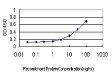Detection limit for recombinant GST tagged LIMK2 is approximately 0.3 ng/ml as a capture antibody.