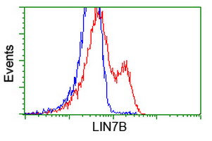 HEK293T cells transfected with either overexpress plasmid (Red) or empty vector control plasmid (Blue) were immunostained by anti-LIN7B antibody, and then analyzed by flow cytometry.