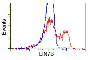 HEK293T cells transfected with either overexpress plasmid (Red) or empty vector control plasmid (Blue) were immunostained by anti-LIN7B antibody, and then analyzed by flow cytometry.