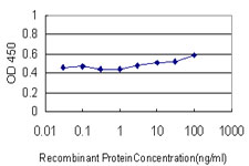 Detection limit for recombinant GST tagged LIPA is approximately 10 ng/ml as a capture antibody.