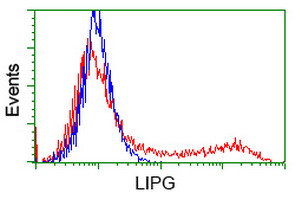 HEK293T cells transfected with either overexpress plasmid (Red) or empty vector control plasmid (Blue) were immunostained by anti-LIPG antibody, and then analyzed by flow cytometry.