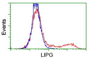 HEK293T cells transfected with either overexpress plasmid (Red) or empty vector control plasmid (Blue) were immunostained by anti-LIPG antibody, and then analyzed by flow cytometry.