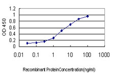 Detection limit for recombinant GST tagged LLGL1 is approximately 0.03 ng/ml as a capture antibody.