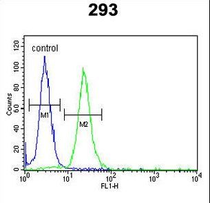LMBR1L Antibody flow cytometry of 293 cells (right histogram) compared to a negative control cell (left histogram). FITC-conjugated goat-anti-rabbit secondary antibodies were used for the analysis.
