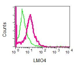 Flow cytometry of permeabilized 293T cells using anti-LMO4 antibody (red)or a rabbit IgG (negative) (green).
