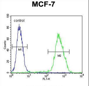 LMO4 Antibody flow cytometry of MCF-7 cells (right histogram) compared to a negative control cell (left histogram). FITC-conjugated goat-anti-rabbit secondary antibodies were used for the analysis.