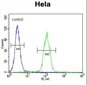 LMTK3 Antibody flow cytometry of HeLa cells (right histogram) compared to a negative control cell (left histogram). FITC-conjugated goat-anti-rabbit secondary antibodies were used for the analysis.
