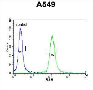 LOH12CR1 Antibody flow cytometry of A549 cells (right histogram) compared to a negative control cell (left histogram). FITC-conjugated goat-anti-rabbit secondary antibodies were used for the analysis.