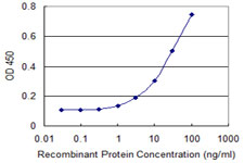 Detection limit for recombinant GST tagged GRM8 is 0.3 ng/ml as a capture antibody.