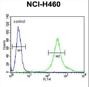 LPPR4 Antibody flow cytometry of NCI-H460 cells (right histogram) compared to a negative control cell (left histogram). FITC-conjugated goat-anti-rabbit secondary antibodies were used for the analysis.