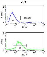 LRG1 Antibody flow cytometry of 293 cells (bottom histogram) compared to a negative control cell (top histogram). FITC-conjugated goat-anti-rabbit secondary antibodies were used for the analysis.