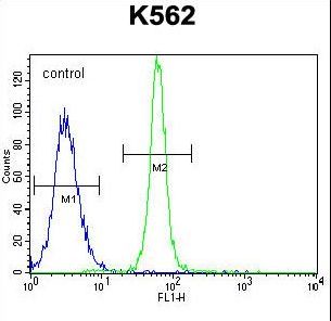 LRIT1 Antibody flow cytometry of K562 cells (right histogram) compared to a negative control cell (left histogram). FITC-conjugated goat-anti-rabbit secondary antibodies were used for the analysis.