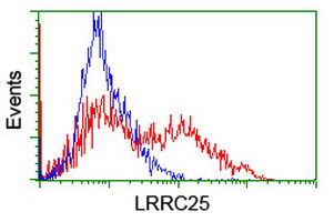 HEK293T cells transfected with either overexpress plasmid (Red) or empty vector control plasmid (Blue) were immunostained by anti-LRRC25 antibody, and then analyzed by flow cytometry.