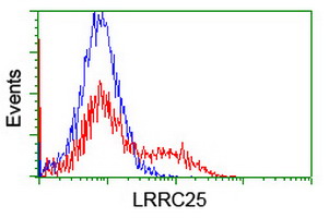 HEK293T cells transfected with either overexpress plasmid (Red) or empty vector control plasmid (Blue) were immunostained by anti-LRRC25 antibody, and then analyzed by flow cytometry.
