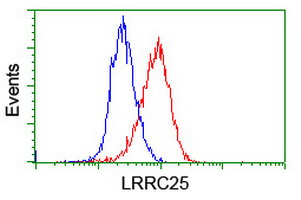Flow cytometry of HeLa cells, using anti-LRRC25 antibody (Red), compared to a nonspecific negative control antibody (Blue).