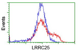 HEK293T cells transfected with either overexpress plasmid (Red) or empty vector control plasmid (Blue) were immunostained by anti-LRRC25 antibody, and then analyzed by flow cytometry.