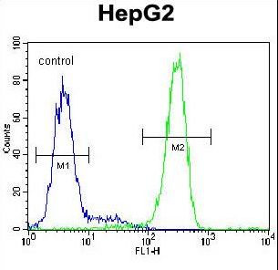 LRC40 Antibody flow cytometry of HepG2 cells (right histogram) compared to a negative control cell (left histogram). FITC-conjugated goat-anti-rabbit secondary antibodies were used for the analysis.