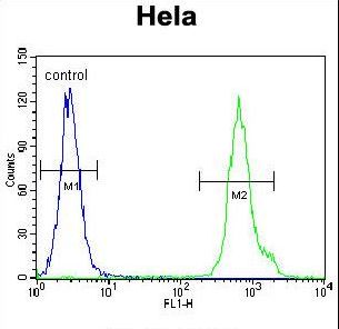 LRRC45 Antibody flow cytometry of HeLa cells (right histogram) compared to a negative control cell (left histogram). FITC-conjugated goat-anti-rabbit secondary antibodies were used for the analysis.