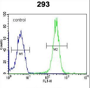 LRRC57 Antibody flow cytometry of 293 cells (right histogram) compared to a negative control cell (left histogram). FITC-conjugated goat-anti-rabbit secondary antibodies were used for the analysis.