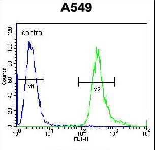 LRRC6 Antibody flow cytometry of A549 cells (right histogram) compared to a negative control cell (left histogram). FITC-conjugated goat-anti-rabbit secondary antibodies were used for the analysis.