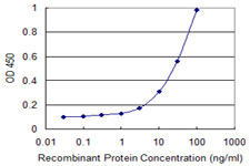 Detection limit for recombinant GST tagged CXCL1 is 1 ng/ml as a capture antibody.