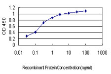 Detection limit for recombinant GST tagged LTBP2 is approximately 0.03 ng/ml as a capture antibody.