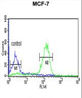 LUC7L2 Antibody flow cytometry of MCF-7 cells (right histogram) compared to a negative control cell (left histogram). FITC-conjugated goat-anti-rabbit secondary antibodies were used for the analysis.