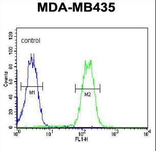 LYRM4 Antibody flow cytometry of MDA-MB435 cells (right histogram) compared to a negative control cell (left histogram). FITC-conjugated goat-anti-rabbit secondary antibodies were used for the analysis.