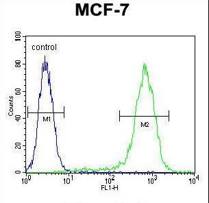 LYSMD4 Antibody flow cytometry of MCF-7 cells (right histogram) compared to a negative control cell (left histogram). FITC-conjugated goat-anti-rabbit secondary antibodies were used for the analysis.