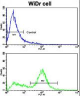 Flow cytometric of WiDr cells using Latexin Antibody (bottom histogram) compared to a negative control cell (top histogram). FITC-conjugated goat-anti-rabbit secondary antibodies were used for the analysis.