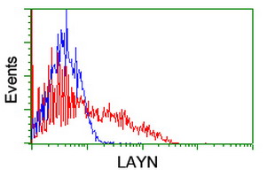 HEK293T cells transfected with either overexpress plasmid (Red) or empty vector control plasmid (Blue) were immunostained by anti-LAYN antibody, and then analyzed by flow cytometry.