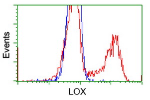 HEK293T cells transfected with either pCMV6-ENTRY LOX (Red) or empty vector control plasmid (Blue) were immunostained with anti-LOX mouse monoclonal, and then analyzed by flow cytometry.