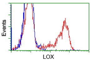 HEK293T cells transfected with either pCMV6-ENTRY LOX (Red) or empty vector control plasmid (Blue) were immunostained with anti-LOX mouse monoclonal, and then analyzed by flow cytometry.