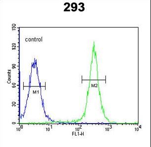 GSDMA Antibody flow cytometry of 293 cells (right histogram) compared to a negative control cell (left histogram). FITC-conjugated goat-anti-rabbit secondary antibodies were used for the analysis.