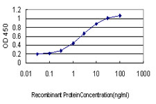 Detection limit for recombinant GST tagged MAN1B1 is approximately 0.03 ng/ml as a capture antibody.