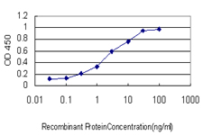 Detection limit for recombinant GST tagged MAPK12 is approximately 0.3 ng/ml as a capture antibody.