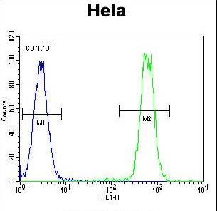 MAPK14 Antibody (Y323) flow cytometry of HeLa cells (right histogram) compared to a negative control cell (left histogram). FITC-conjugated goat-anti-rabbit secondary antibodies were used for the analysis.
