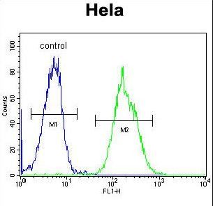 MAPRE1 Antibody flow cytometry of HeLa cells (right histogram) compared to a negative control cell (left histogram). FITC-conjugated goat-anti-rabbit secondary antibodies were used for the analysis.