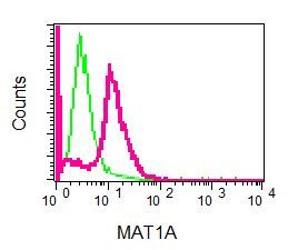 Flow cytometry of permeabilized 293T cells using anti-MAT1A antibody (red)or a rabbit IgG (negative) (green).