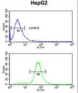 GSTA4 Antibody flow cytometry of HepG2 cells (bottom histogram) compared to a negative control cell (top histogram). FITC-conjugated goat-anti-rabbit secondary antibodies were used for the analysis.
