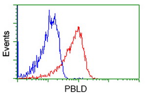 Flow cytometry of Jurkat cells, using anti-PBLD antibody, (Red), compared to a nonspecific negative control antibody, (Blue).
